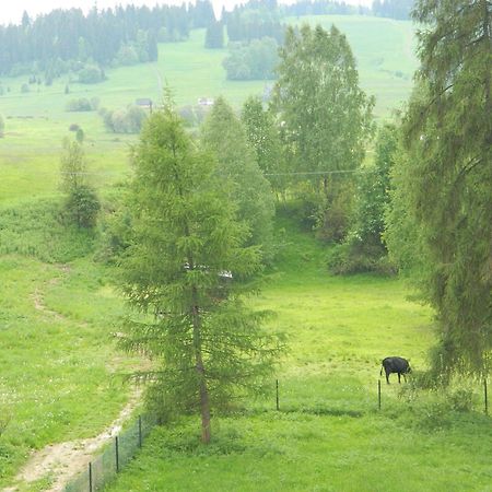 Dom Wypoczynkowy Julia Bialka Tatrzanska Ruang foto
