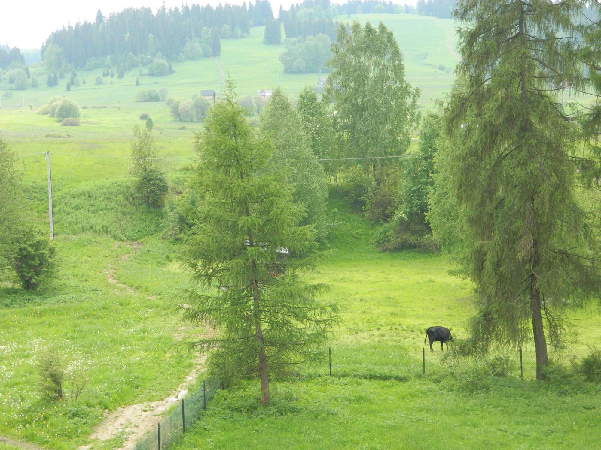 Dom Wypoczynkowy Julia Bialka Tatrzanska Ruang foto